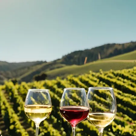 La Storia Ripatransone